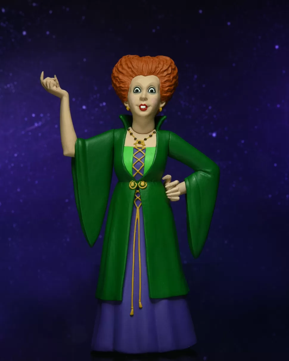 NECA Hocus Pocus – Winifred Sanderson – Toony Terrors 6" Scale Action Figure* Toony Terrors