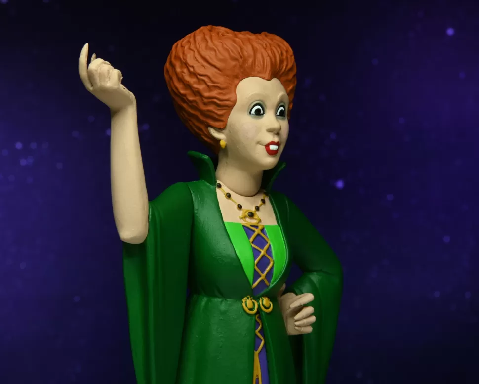 NECA Hocus Pocus – Winifred Sanderson – Toony Terrors 6" Scale Action Figure* Toony Terrors