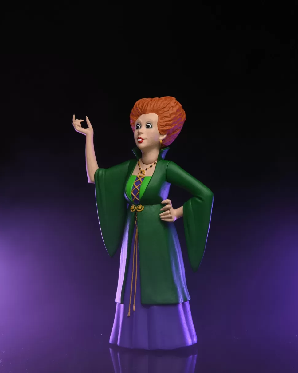 NECA Hocus Pocus – Winifred Sanderson – Toony Terrors 6" Scale Action Figure* Toony Terrors